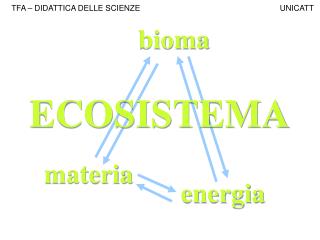 ecosistema
