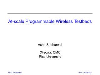 At-scale Programmable Wireless Testbeds