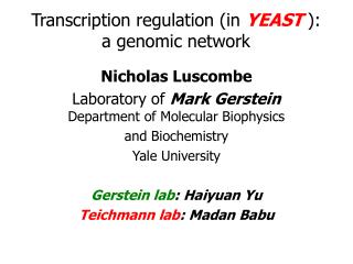 Transcription regulation (in YEAST ): a genomic network