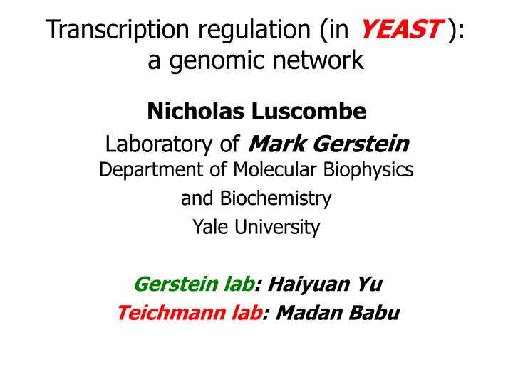 transcription regulation in yeast a genomic network