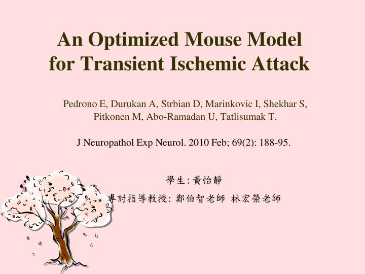 an optimized mouse model for transient ischemic attack