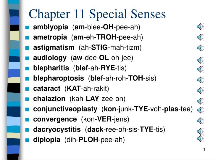 chapter 11 special senses