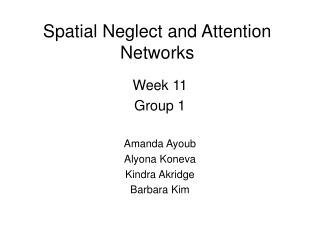 Spatial Neglect and Attention Networks