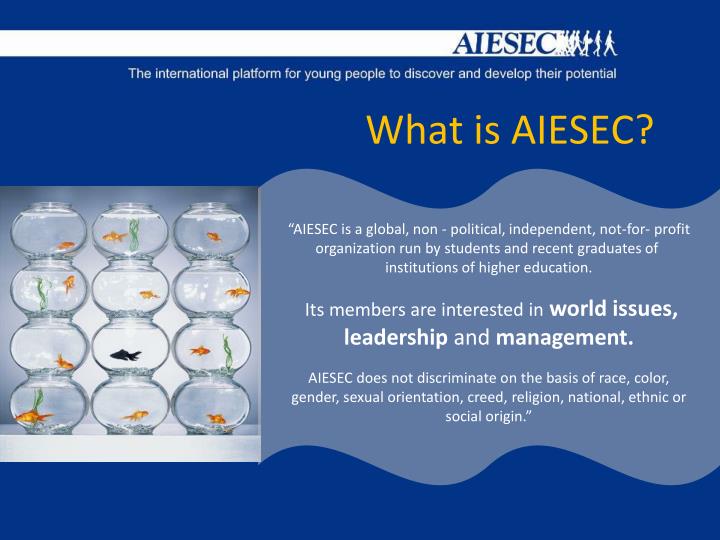 what is aiesec