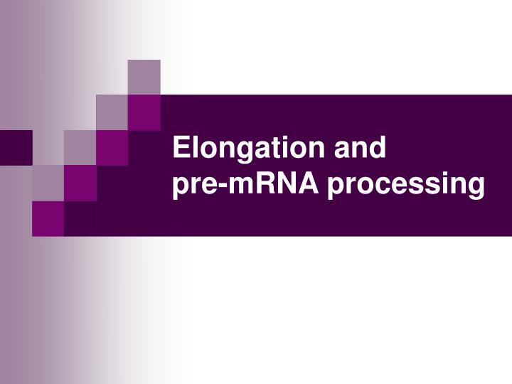 elongation and pre mrna processing