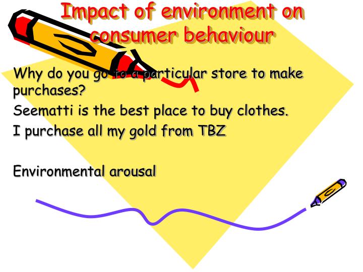 impact of environment on consumer behaviour
