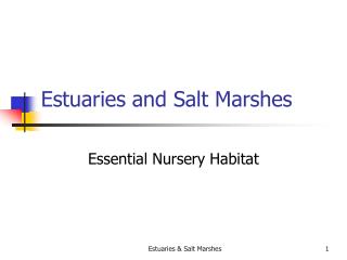 Estuaries and Salt Marshes