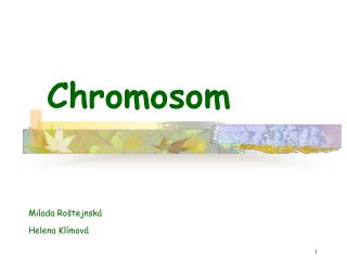 chromosom