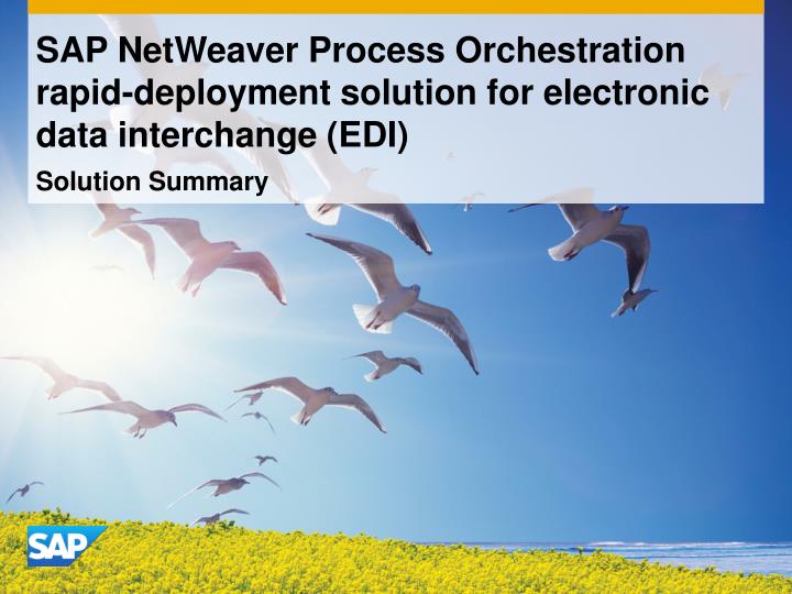 sap netweaver process orchestration rapid deployment solution for electronic data interchange edi