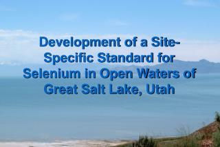 Development of a Site-Specific Standard for Selenium in Open Waters of Great Salt Lake, Utah