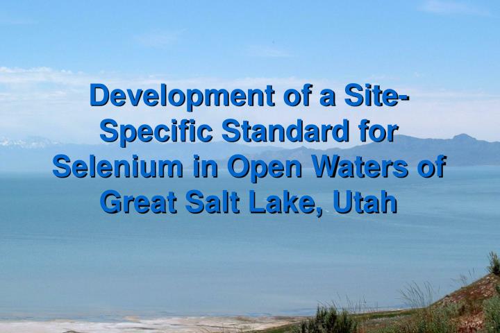 development of a site specific standard for selenium in open waters of great salt lake utah