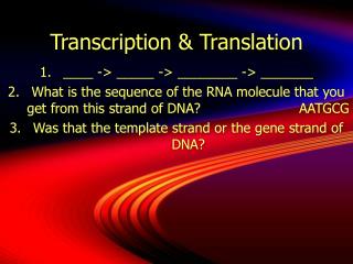 Transcription &amp; Translation