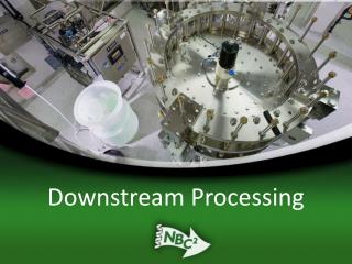 Downstream Processing