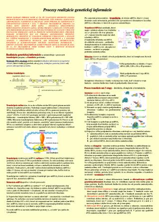 procesy realiz cie genetickej inform cie