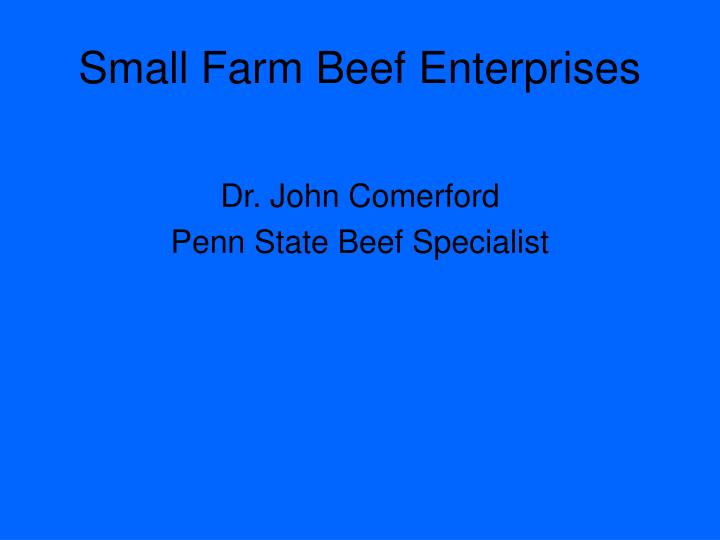 small farm beef enterprises