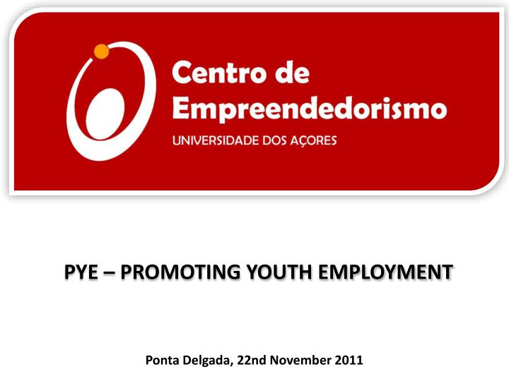 pye promoting youth employment