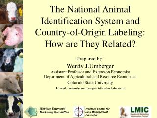 The National Animal Identification System and Country-of-Origin Labeling: How are They Related?