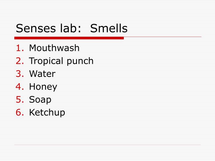 senses lab smells