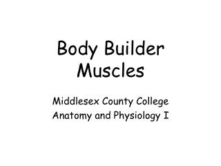 Body Builder Muscles