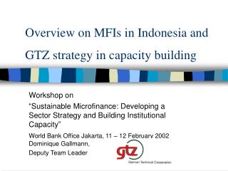 Overview on MFIs in Indonesia and GTZ strategy in capacity building