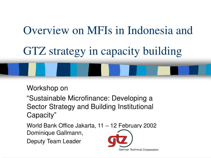 overview on mfis in indonesia and gtz strategy in capacity building