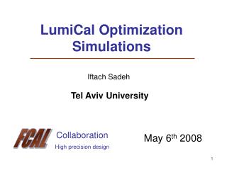 LumiCal Optimization Simulations