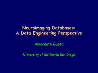 Neuroimaging Databases: A Data Engineering Perspective