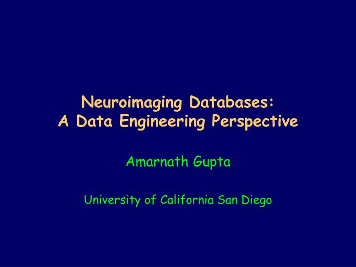 neuroimaging databases a data engineering perspective