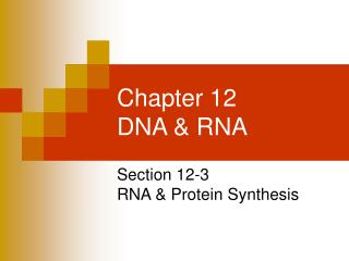 Chapter 12 DNA &amp; RNA