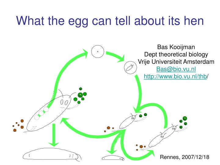 what the egg can tell about its hen
