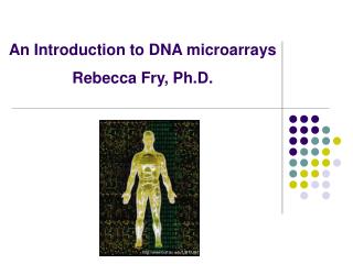 An Introduction to DNA microarrays Rebecca Fry, Ph.D.