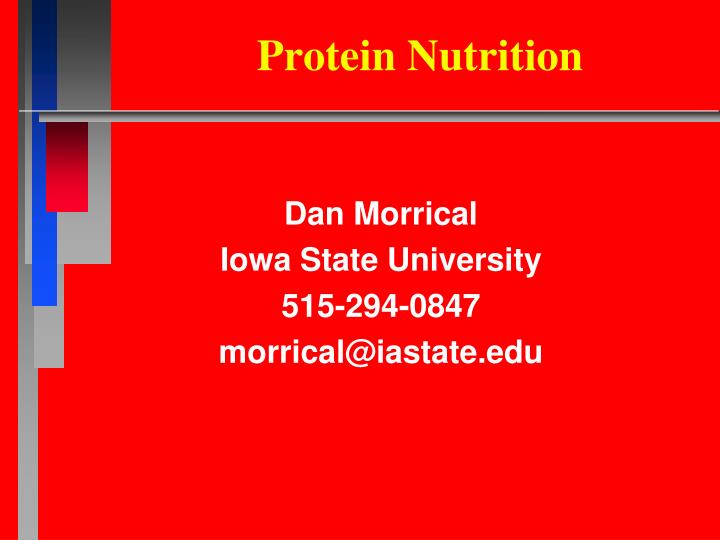 protein nutrition