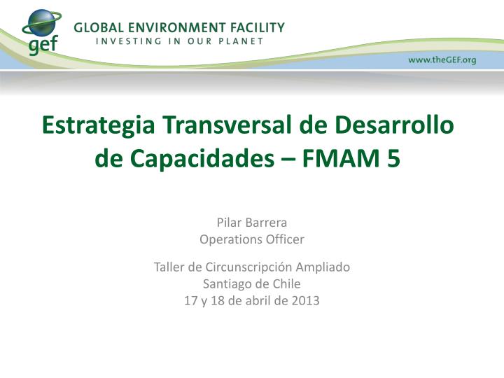 estrategia transversal de desarrollo de capacidades fmam 5