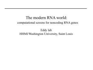The modern RNA world: