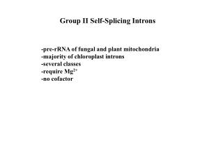Group II Self-Splicing Introns