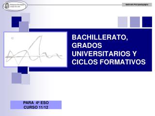 bachillerato grados universitarios y ciclos formativos