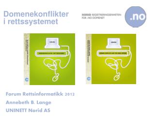 domenekonflikter i rettssystemet