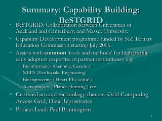 Summary: Capability Building: BeSTGRID