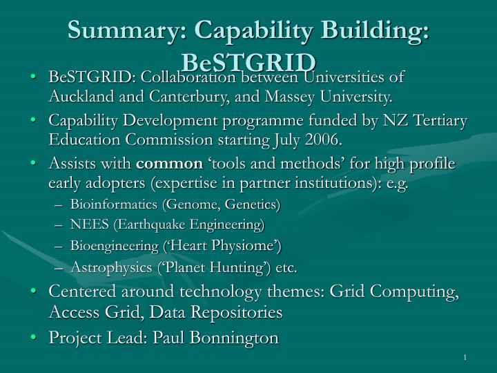 summary capability building bestgrid