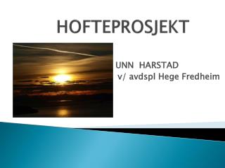 HOFTEPROSJEKT