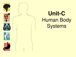 Unit-C Human Body Systems