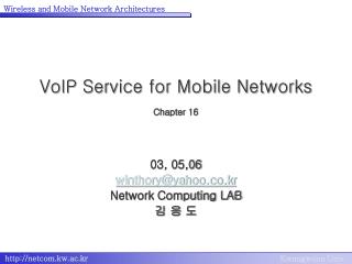 VoIP Service for Mobile Networks