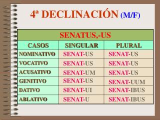 4 declinaci n m f