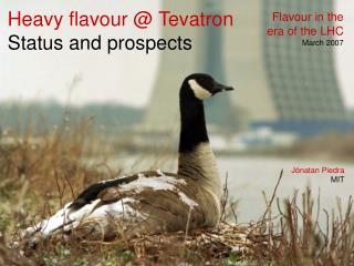 Heavy flavour @ Tevatron Status and prospects