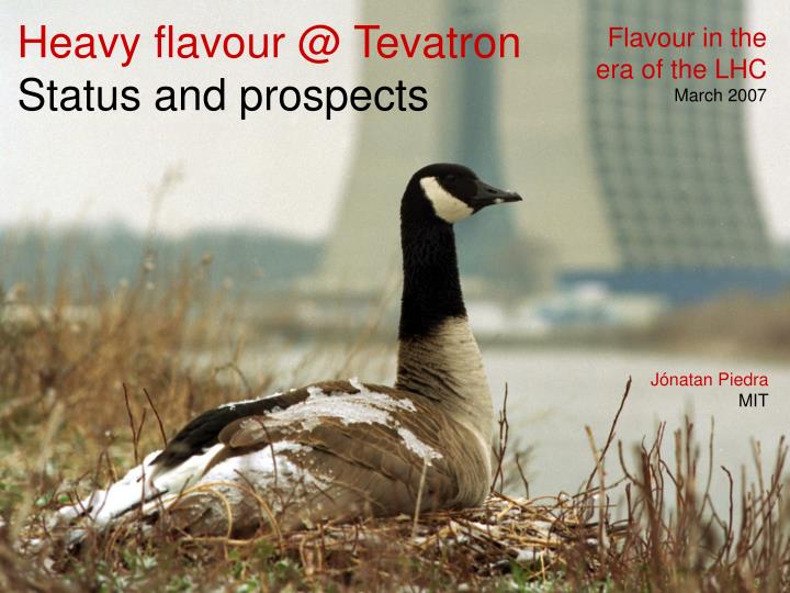 heavy flavour @ tevatron status and prospects