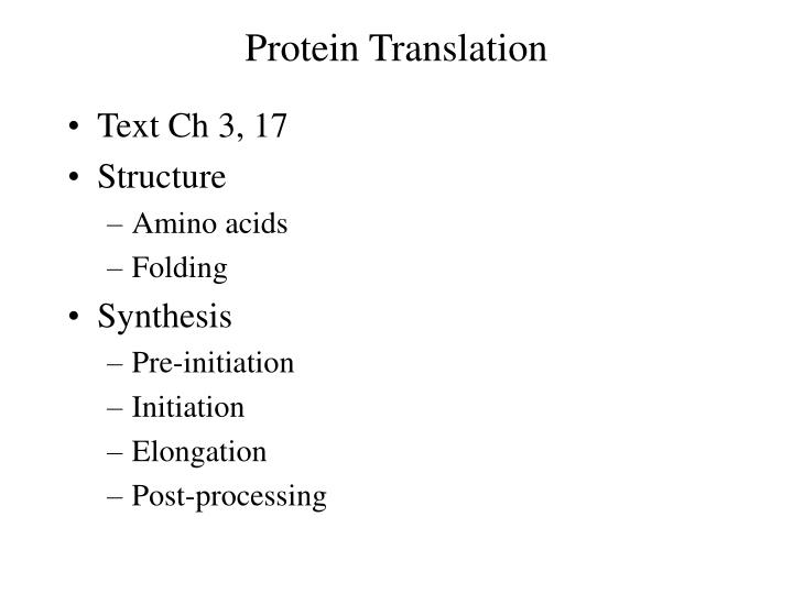 protein translation