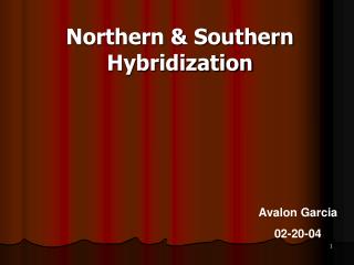 Northern &amp; Southern Hybridization