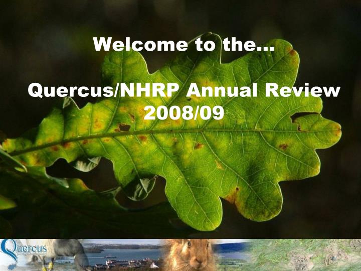 welcome to the quercus nhrp annual review 2008 09