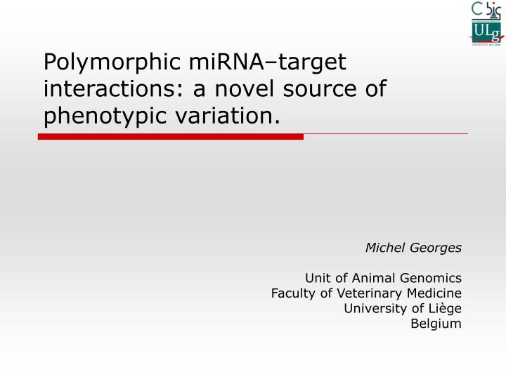 polymorphic mirna target interactions a novel source of phenotypic variation