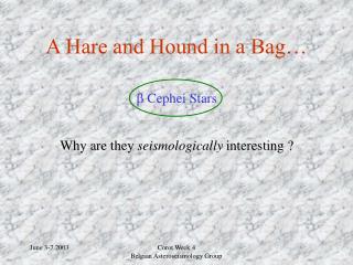 A Hare and Hound in a Bag…